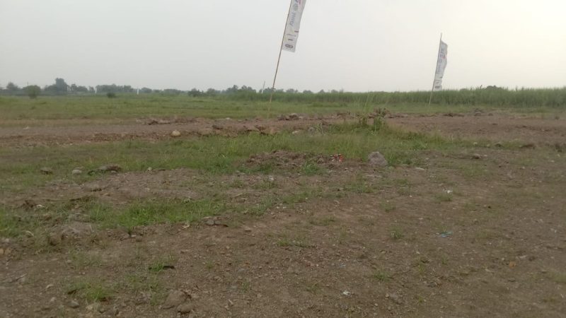 Lahan sawah dijadikan lahan Perumahan